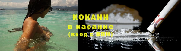 ПСИЛОЦИБИНОВЫЕ ГРИБЫ Магас