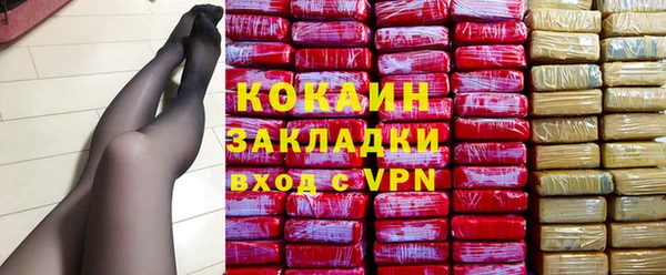 ПСИЛОЦИБИНОВЫЕ ГРИБЫ Магас
