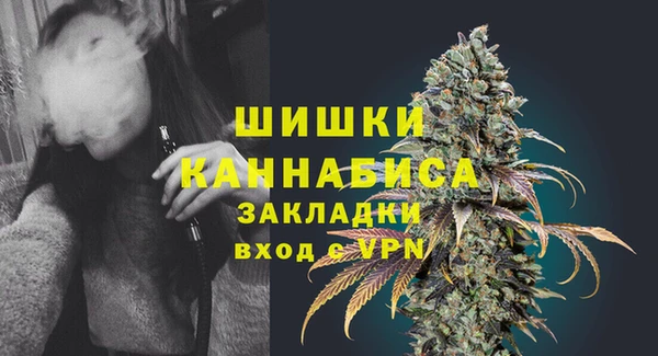 ПСИЛОЦИБИНОВЫЕ ГРИБЫ Магас