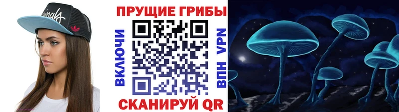 где купить   Александровское  Галлюциногенные грибы ЛСД 